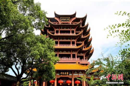 減稅降費(fèi) 為中國國內(nèi)旅游市場注入新活力
